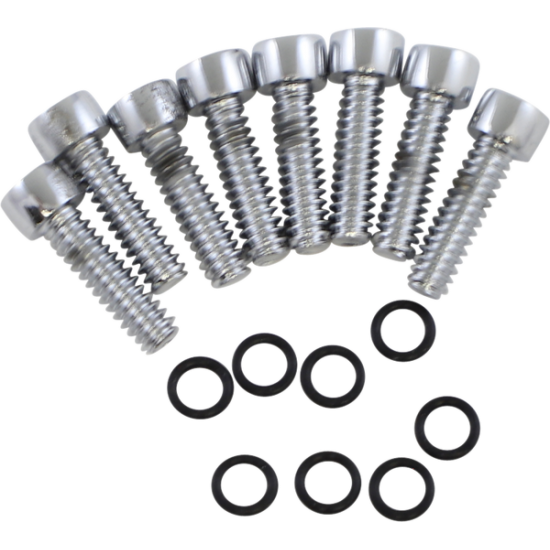 Turn Signal Lens Bolt Kit POL TURNSIGNAL BOLTS 8PK