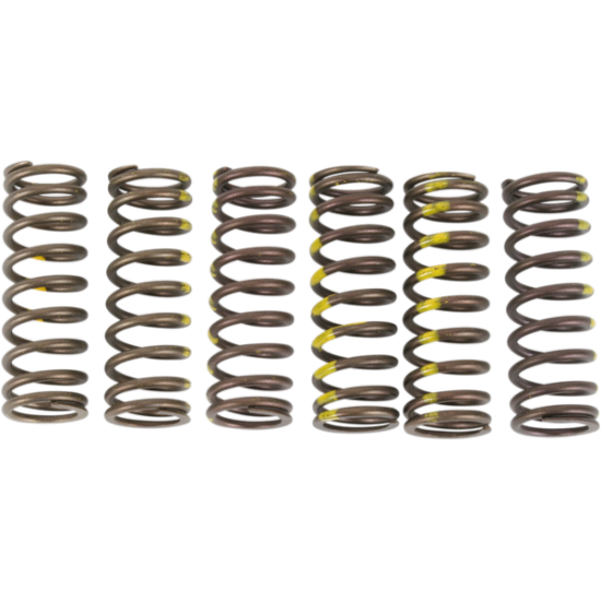 Kupplungsfederset SPRINGS CLUTCH RMZ450