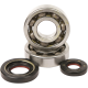Hauptkurbelwellenlager- und Dichtungssatz BEARINGS CRANK YZ250