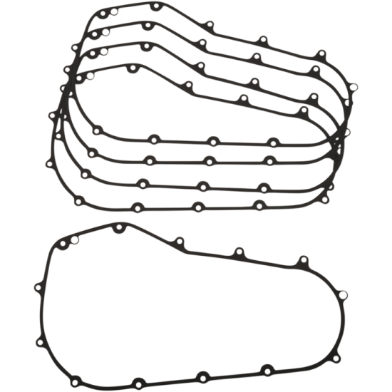 Primärdichtungssatz GASKET PM M8 25700564 5PK