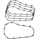 Primary Gasket Pack GASKET PM M8 25700564 5PK