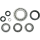 Bearing/Seal Kit BEARINGFR DIFFRNTL-YAM