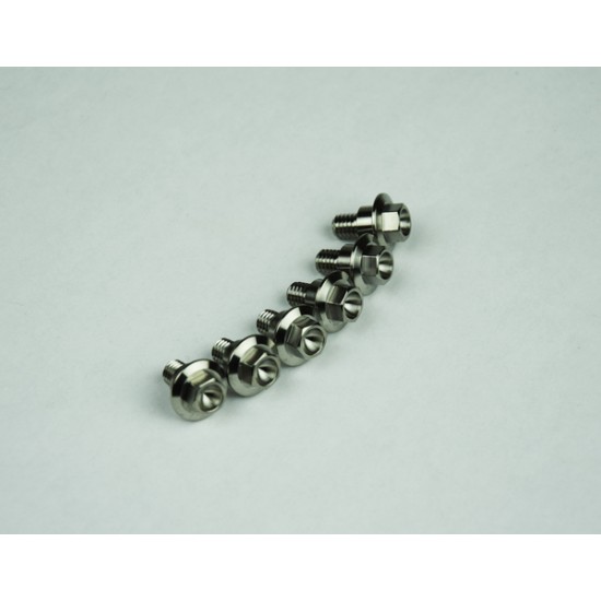 Titanium Screws TITANIUM M6X12 PACK OF 6 Titanium Screws TITANIUM M6X12 PACK OF 6