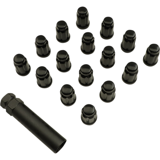 Splined Lug Nut LUGNT 12X1.25 SPLN BK16P