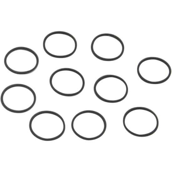 O-Ring O-RING SET VITON 10PK