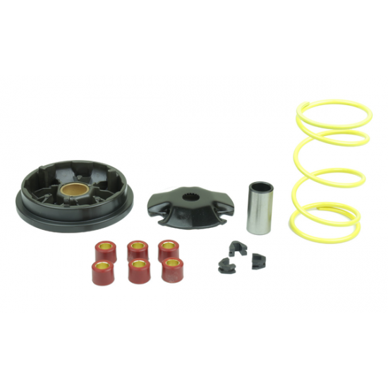 Regelgetriebe-Kit VARIATOR KIT PIA