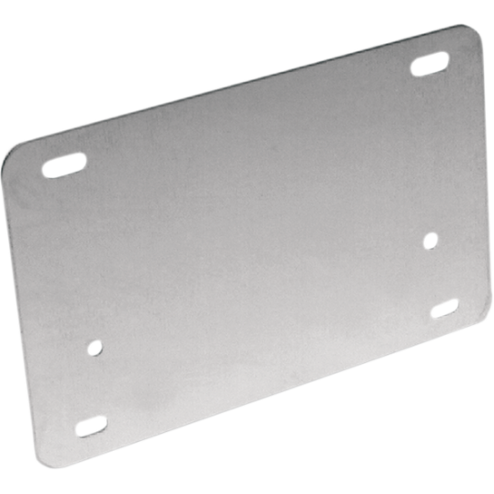 License Backing Plate BACKING PLATE LICENSE S/S