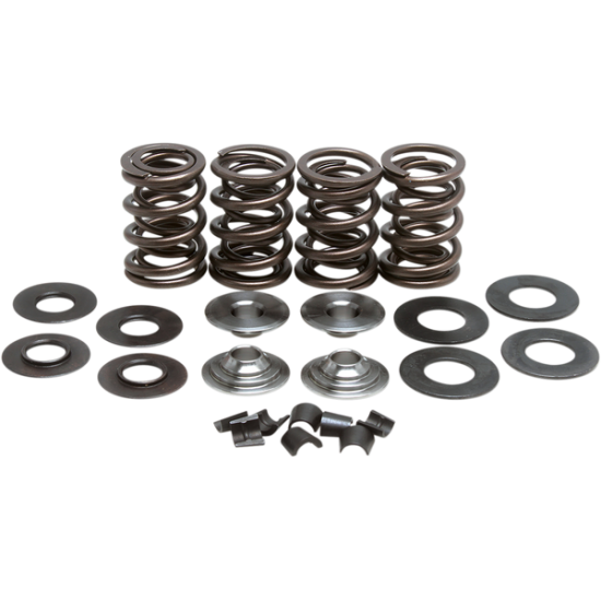 Racing Federsatz VALVE SPRING KIT GS500E