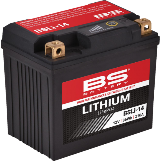 Lithium LiFePO4 Battery BATTERY LITHIUM BSLI-14