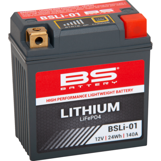 Lithium LiFePO4 Battery BATTERY LITHIUM BSLI01