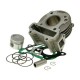 Cylinder Kit - 101 Octane CYLINDER KIT 50CC Cylinder Kit - 101 Octane CYLINDER KIT 50CC