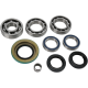 Bearing/Seal Kit BEARING KIT DIFF RR CANAM