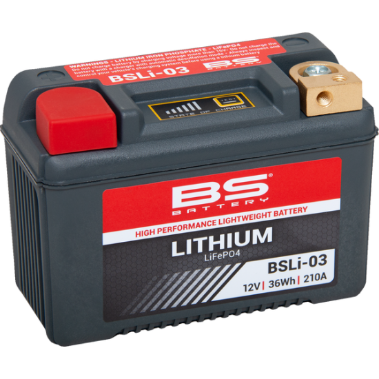 Lithium LiFePO4 Battery BATTERY LITHIUM BSLI03