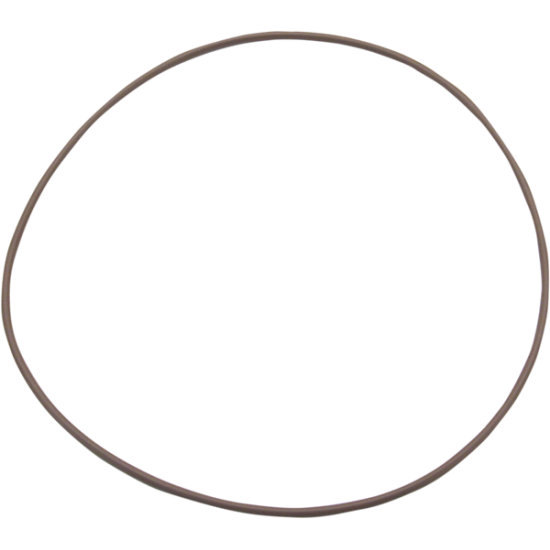 O-Ring O-RING VITON (50-7961-S)