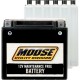 Wartungsfreie AGM-Batterien BATTERY MUD YTX4L-BS