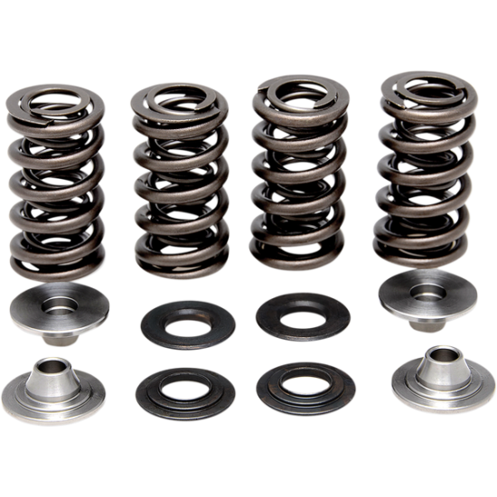 Leichter Racing Ventilfedersatz SPRING KIT RM-Z250 04-06