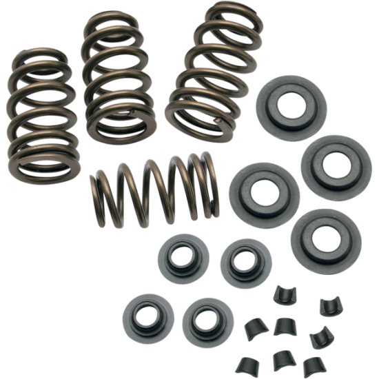 Sidewinder® .650" Valve Spring Kit SPRING KIT .650" 84-04