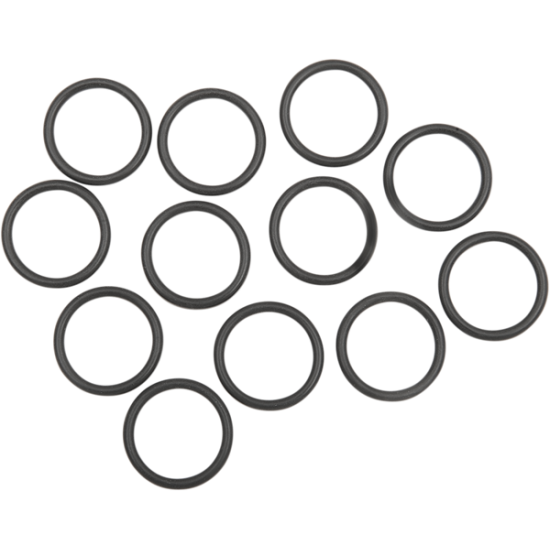 Sundance® Peg Ersatz-O-Ringe O-RINGS 3/4 X 3/32 NEOP