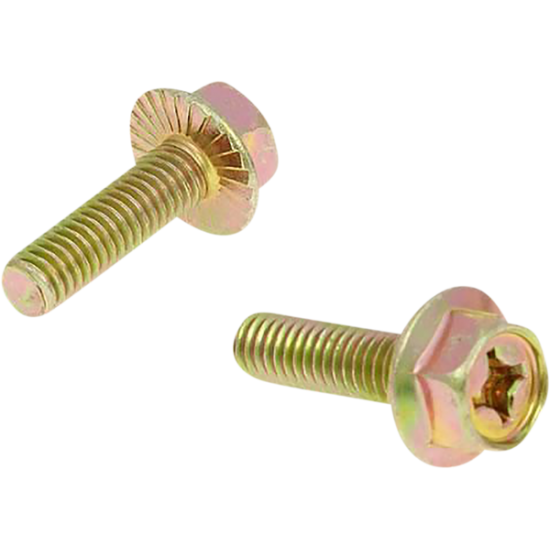 Auspuffschrauben EXHAUST SCREWS