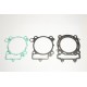 Renn-Dichtungssatz GASKET KIT RACE KX450F