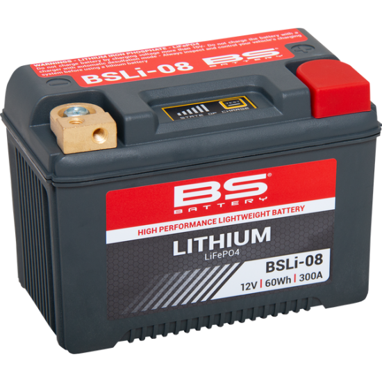 Lithium LiFePO4 Batterie BATTERY LITHIUM BSLI08