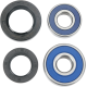 Radlager-Kit BEARING RR WHEEL TTR