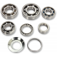 Transmission Bearing Kit BEARINGS TRANS TBK0109