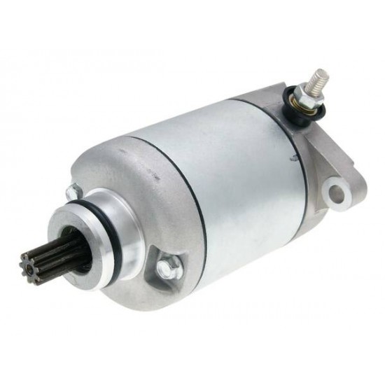 Starter Motor STARTER MOTOR