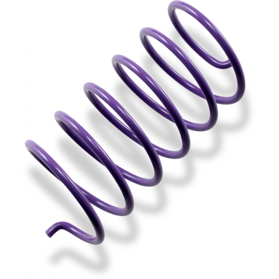 Secondary Clutch Spring SECONDARY SPRING PURPLE