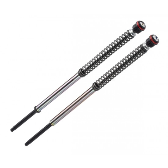 JBH12 Series fork cartridges FRT SHOCKS H-D SSTER