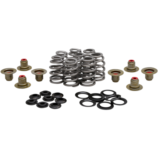 SPRING KIT BHIVE M8 .625 SPRING KIT BHIVE M8 .625 SPRING KIT BHIVE M8 .625 SPRING KIT BHIVE M8 .625