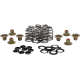 SPRING KIT BHIVE M8 .625 SPRING KIT BHIVE M8 .625 SPRING KIT BHIVE M8 .625 SPRING KIT BHIVE M8 .625