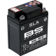 SLA werksseitig aktivierte wartungsfreie AGM-Batterien BATTERY BS 6N6-3B/B-1