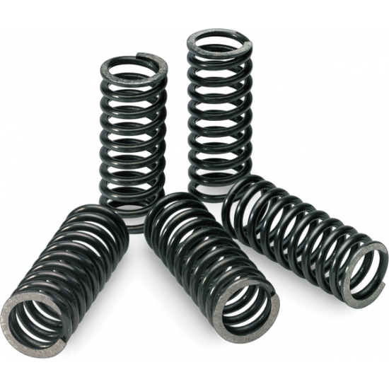 Kupplungsfederset SPRINGS CLUTCH RMZ450