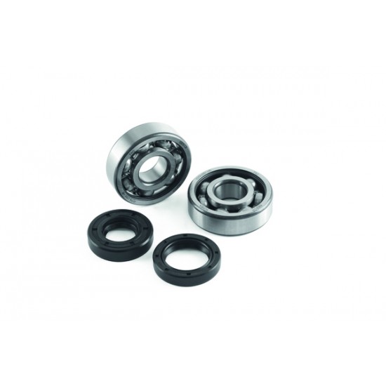 Kurbelwellenlager- und -dichtungssatz CRANK BEARING SEAL KIT