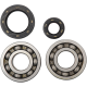 Hauptkurbelwellenlager- und Dichtungssatz BEARINGS CRANK CR250 Hauptkurbelwellenlager- und Dichtungssatz BEARINGS CRANK CR250