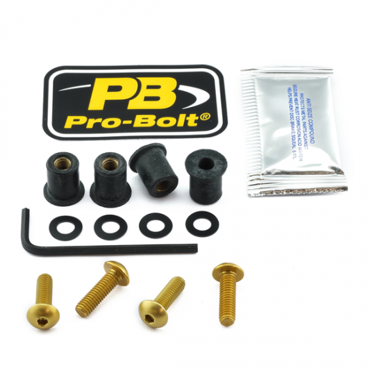 Screen Bolt Aluminium SCR KIT SCREEN 4 GD