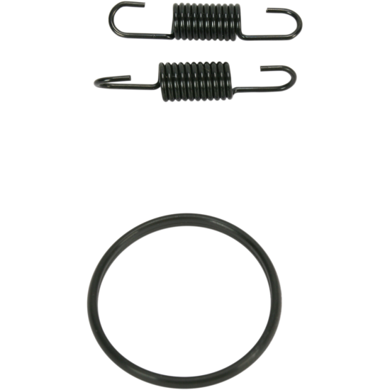 Auspuffrohrfeder/O-Ring-Satz SPRING/ORING KIT RM250