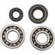 Hauptkurbelwellenlager- und Dichtungssatz BEARINGS CRANK YZ250