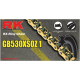 X-Ring-Kette GB 530 XSOZ1 CHAIN RK530XSOZ1 GG 130R