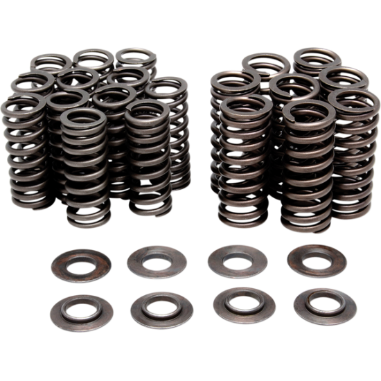 Nur Performance Umbau-Tonnenfedersatz VALVE SPRING ONLY KIT