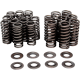 Nur Performance Umbau-Tonnenfedersatz VALVE SPRING ONLY KIT