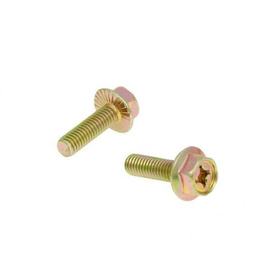 Auspuffschrauben EXHAUST SCREWS