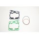 Renn-Dichtungssatz GASKET KIT RACE YZ125