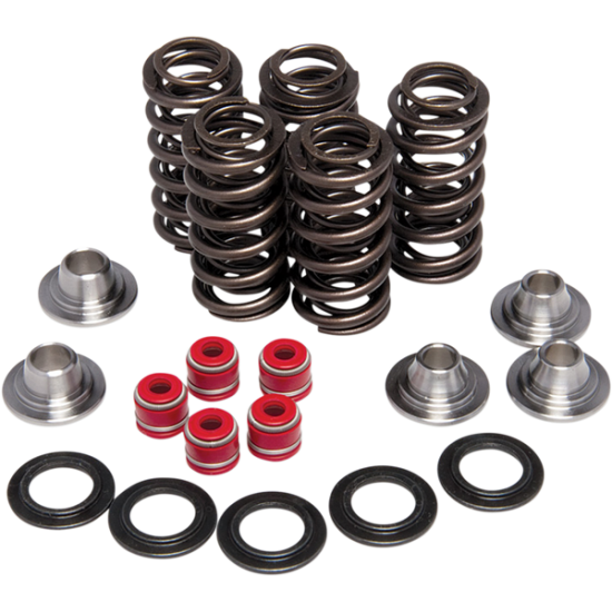 Ventilfeder-Kit YZ450 SPRING KIT