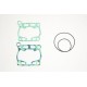 Race Gasket Kit GASKET KIT RACE RM85