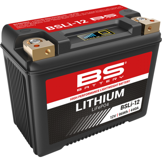 Lithium LiFePO4 Batterie BATTERY LITHIUM BSLI12