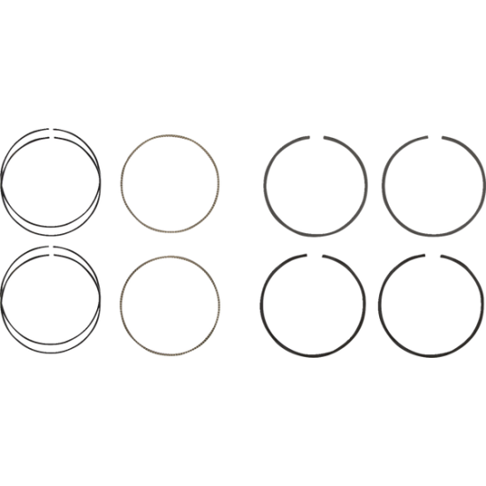 Piston Ring Set RINGS M8 107 3.937 STD