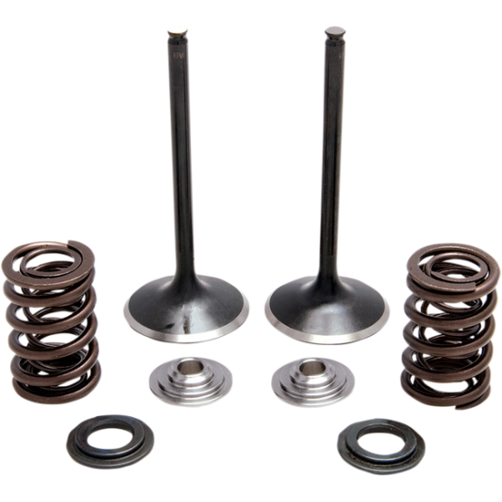 Stainless Steel Conversion Valve and Spring Kit SPRING KT INT TRX450R 04-
