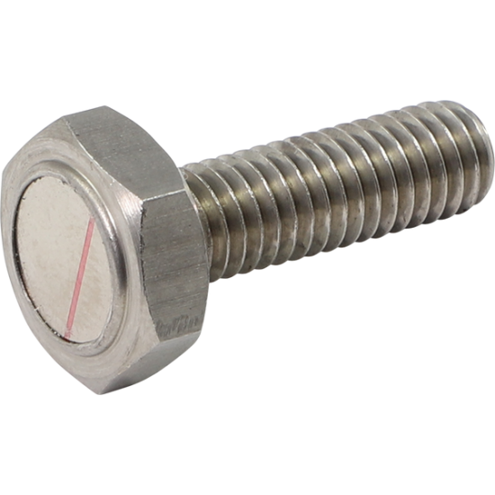 Speed Sensor Magnet Bolt SENS BLT M6XP 1.1X19.7L 2PK